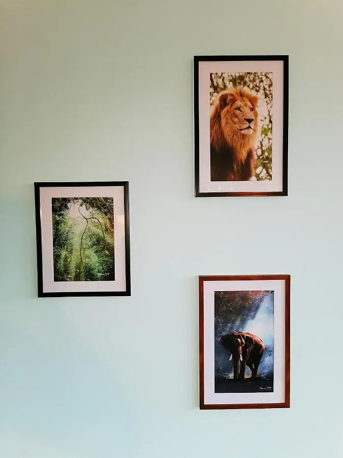Leman Holidays - The Jungle Sciez Appartement